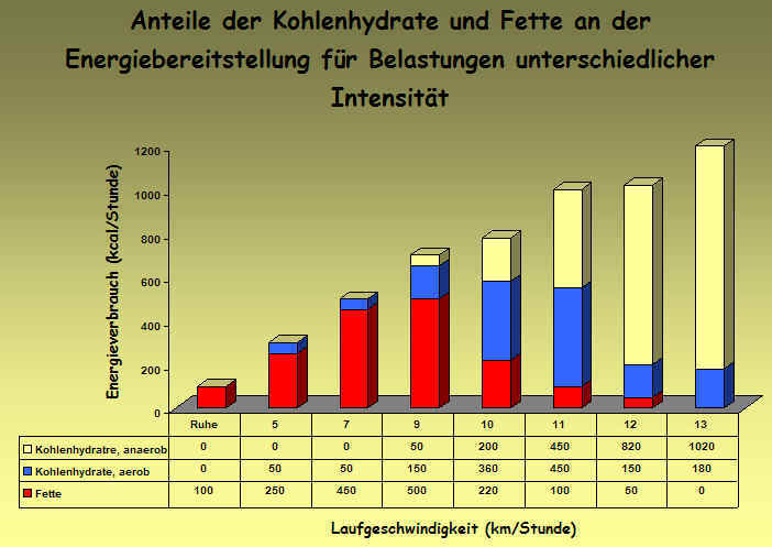 Fettverbrennungsdiagramm copyrigth W. Klug